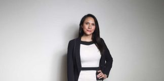 Araña de rincón consejos para prevenir una posible mordedura