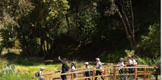 En su edición 2024 más de 12 mil estudiantes aprendieron al aire libre junto a Aula Tricao