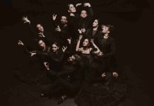 Enero 2025: Santiago a Mil llega a Lo Barnechea con la obra “Carnaval de los animales” y el ballet de flamenco de Andalucía