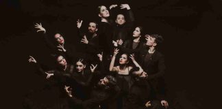 Enero 2025: Santiago a Mil llega a Lo Barnechea con la obra “Carnaval de los animales” y el ballet de flamenco de Andalucía