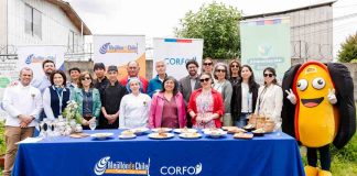Estudiantes del Liceo Miramar revolucionan el menú escolar con innovadoras recetas de choritos para JUNAEB
