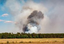 Exalumno de la USM realiza estudio que analiza el comportamiento del fuego en condiciones de microgravedad 