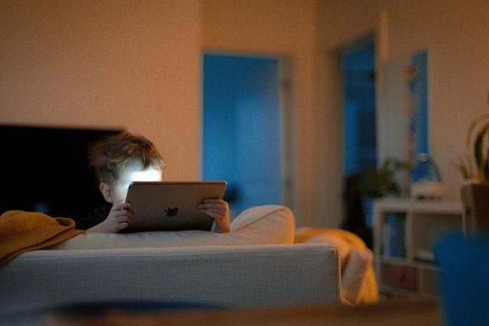 Grooming en Internet una amenaza en expansión Grooming en Internet una amenaza en expansión