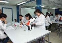 Invitan a participar de cursos científicos de verano en la UTalca Invitan a participar de cursos científicos de verano en la UTalca