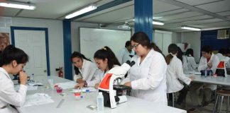 Invitan a participar de cursos científicos de verano en la UTalca