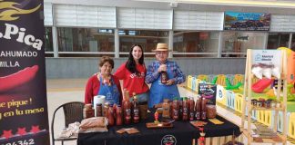 Más de 250 proyectos comunitarios desarrollaron estudiantes de la UTalca