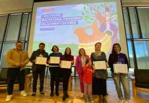 Universidad de Los Lagos pone énfasis en la creación artística como proceso investigativo a través de Diploma en Gestión Cultural