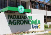 Agronomía UdeC dictará Diplomado en Ciencia Disruptiva y Comunicación Efectiva de la Ciencia Agronomía UdeC dictará Diplomado en Ciencia Disruptiva y Comunicación Efectiva de la Ciencia