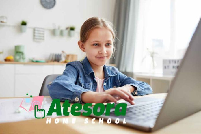 Colegios online en Chile: una excelente oportunidad para tus hijos