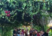 Con éxito concluye primera Escuela de Verano de Metodologías participativas ambientales en Maipú Con éxito concluye primera Escuela de Verano de Metodologías participativas ambientales en Maipú
