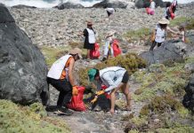 Con limpieza colaborativa de playas en Caleta Los  Hornos culminó el ENVIS 2025 