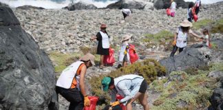 Con limpieza colaborativa de playas en Caleta Los  Hornos culminó el ENVIS 2025 