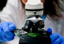 Doctorado en Biotecnología de la USM y PUCV consolida su acreditación por 6 años Doctorado en Biotecnología de la USM y PUCV consolida su acreditación por 6 años