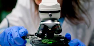 Doctorado en Biotecnología de la USM y PUCV consolida su acreditación por 6 años Doctorado en Biotecnología de la USM y PUCV consolida su acreditación por 6 años