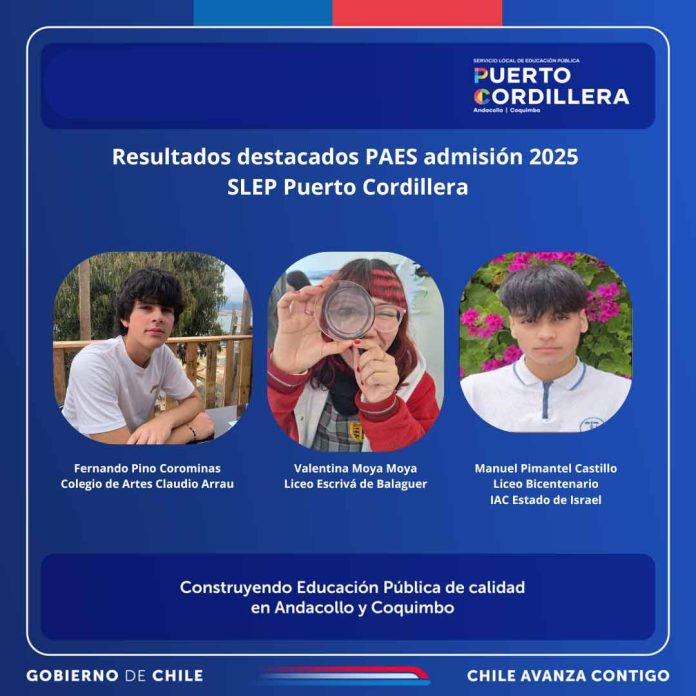 Estudiantes de la Educación Pública cuentan sus expectativas tras buenos resultados en la PAES