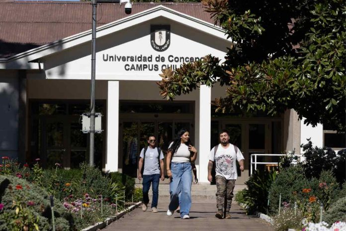 En Campus Chillán de la UdeC se realizará seminario sobre el impacto de humo de incendios forestales en vinos y uvas En Campus Chillán de la UdeC se realizará seminario sobre el impacto de humo de incendios forestales en vinos y uvas