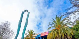 Especialización en Rehabilitación Oral de la UTalca se acreditó por 4 años