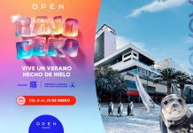 Figuras de animales del sur de Chile esculpidos en hielo y una estructura de 10 grados bajo cero llegan a Open Kennedy Figuras de animales del sur de Chile esculpidos en hielo y una estructura de 10 grados bajo cero llegan a Open Kennedy