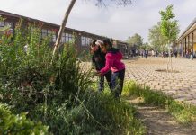 Patio Vivo es destacada entre las 15 mejores innovaciones del mundo para promover el bienestar en establecimientos educacionales Patio Vivo establecimientos educacionales