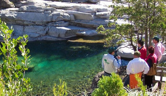Reserva Nacional Ñuble - CONAF Jóvenes tendrán acceso rebajado a parques nacionales