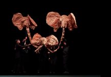 Santiago a Mil llega a Lo Barnechea con la obra “Carnaval de los animales” y el ballet de flamenco de Andalucía Santiago a Mil llega a Lo Barnechea con la obra “Carnaval de los animales” y el ballet de flamenco de Andalucía