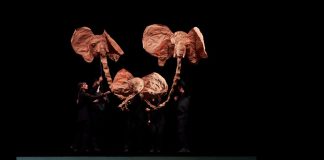 Santiago a Mil llega a Lo Barnechea con la obra “Carnaval de los animales” y el ballet de flamenco de Andalucía