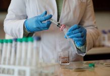 UCSC refuerza su liderazgo con nuevos Fondecyt de Iniciación y Postdoctorado