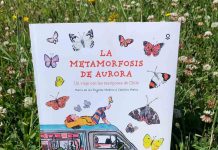 Veraneando entre historias: libros para incentivar la lectura de niños y niñas en vacaciones Veraneando entre historias: libros para incentivar la lectura de niños y niñas en vacaciones