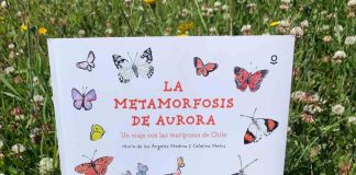 Veraneando entre historias: libros para incentivar la lectura de niños y niñas en vacaciones