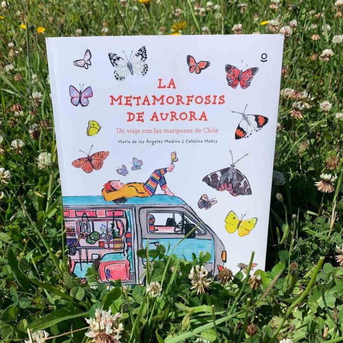 Veraneando entre historias: libros para incentivar la lectura de niños y niñas en vacaciones