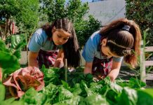 Aprendizaje al Aire Libre: ¿Cuáles son los beneficios de aprender en contacto con la naturaleza? Aprendizaje al Aire Libre: ¿Cuáles son los beneficios de aprender en contacto con la naturaleza?