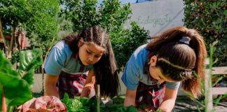 Aprendizaje al Aire Libre: ¿Cuáles son los beneficios de aprender en contacto con la naturaleza?