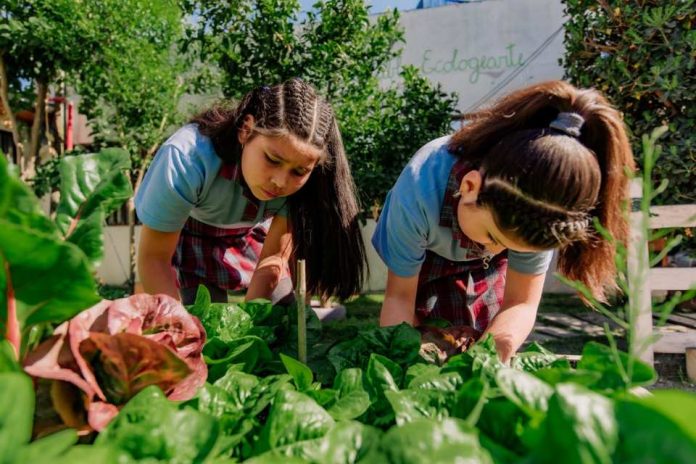 Aprendizaje al Aire Libre ¿Cuáles son los beneficios de aprender en contacto con la naturaleza Aprendizaje al Aire Libre: ¿Cuáles son los beneficios de aprender en contacto con la naturaleza?