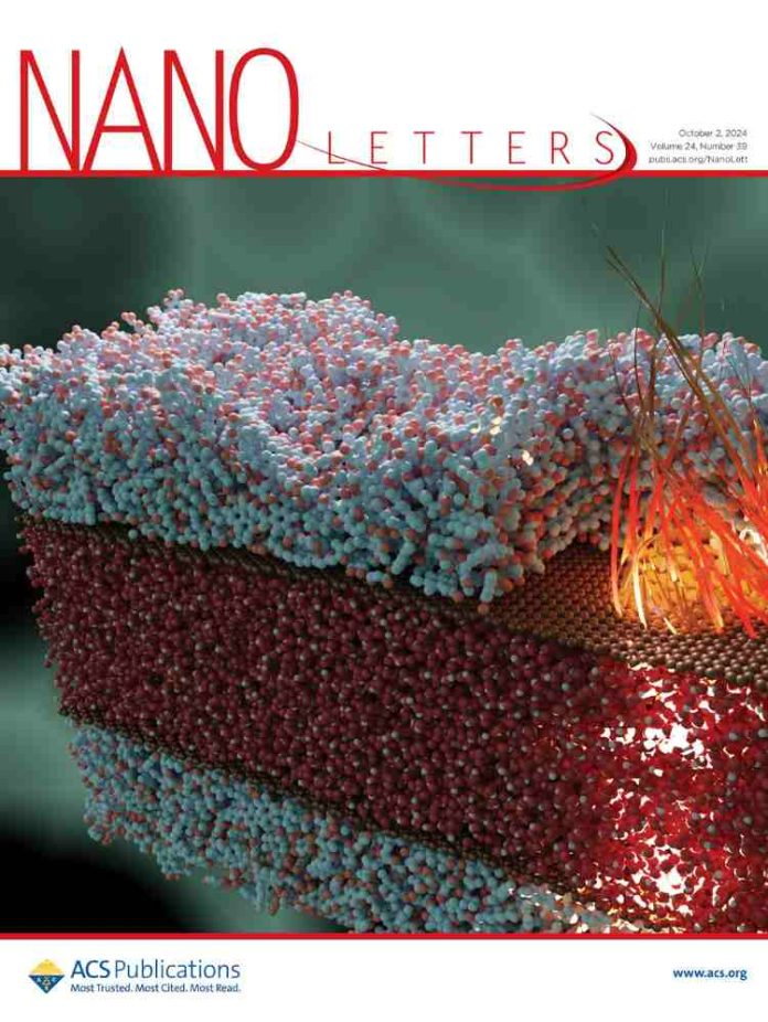 Artículo de académico de la USM obtuvo portada en prestigiosa revista científica enfocada en nanociencia