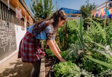Cómo crear un huerto en casa durante las vacaciones: una actividad familiar sustentable