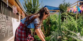 Cómo crear un huerto en casa durante las vacaciones: una actividad familiar sustentable