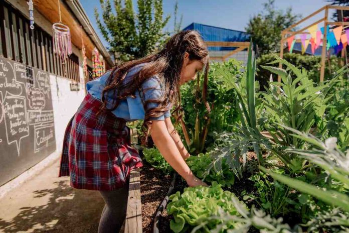 Cómo crear un huerto en casa durante las vacaciones una actividad familiar sustentable Cómo crear un huerto en casa durante las vacaciones: una actividad familiar sustentable