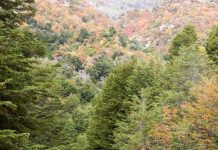 DE NORTE A SUR: LAS MEJORES RUTAS CHILENAS PARA HACER TREKKING EN ESTE VERANO 2025 DE NORTE A SUR: LAS MEJORES RUTAS CHILENAS PARA HACER TREKKING EN ESTE VERANO 2025