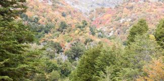 DE NORTE A SUR: LAS MEJORES RUTAS CHILENAS PARA HACER TREKKING EN ESTE VERANO 2025