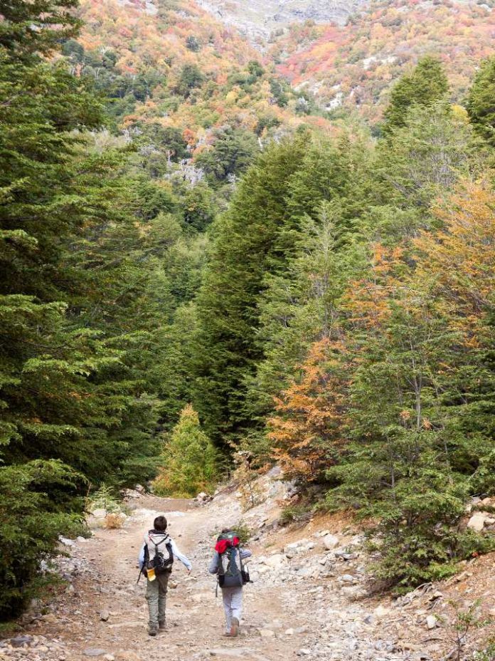 _DE NORTE A SUR LAS MEJORES RUTAS CHILENAS PARA HACER TREKKING EN ESTE VERANO 2025 DE NORTE A SUR: LAS MEJORES RUTAS CHILENAS PARA HACER TREKKING EN ESTE VERANO 2025