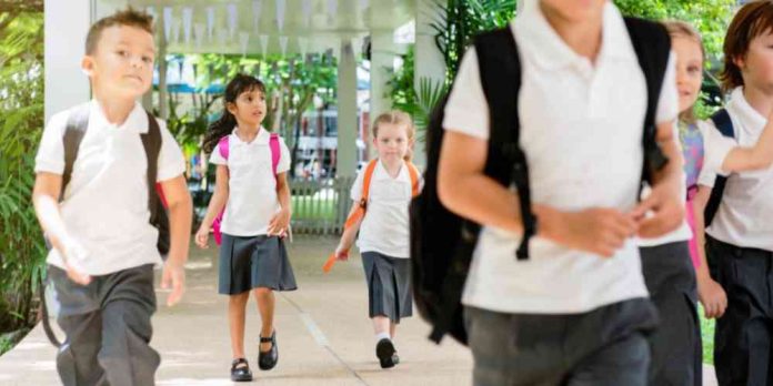 El regreso a clases claves para elegir mochilas y zapatillas que cuiden la salud infantil El regreso a clases: claves para elegir mochilas y zapatillas que cuiden la salud infantil