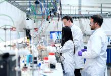 Impulsando la formación de profesionales altamente calificados: Universidades de las regiones del Biobío y Ñuble adjudican 147 Becas de doctorado ANID