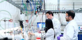 Impulsando la formación de profesionales altamente calificados: Universidades de las regiones del Biobío y Ñuble adjudican 147 Becas de doctorado ANID