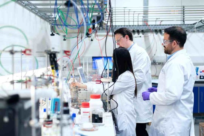 Impulsando la formación de profesionales altamente calificados Universidades de las regiones del Biobío y Ñuble adjudican 147 Becas de doctorado ANID Impulsando la formación de profesionales altamente calificados: Universidades de las regiones del Biobío y Ñuble adjudican 147 Becas de doctorado ANID