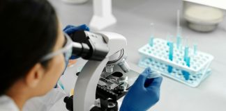 Investigadores de la UTalca lideran proyectos que fomentan la vinculación internacional Investigadores de la UTalca lideran proyectos que fomentan la vinculación internacional