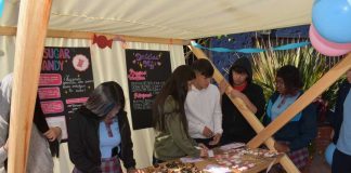 Jóvenes Emprendedores: una alternativa diferente a la educación superior Jóvenes Emprendedores