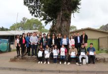 La Araucanía se encuentra entre las regiones que más redujeron la tasa de deserción escolar a nivel nacional La Araucanía se encuentra entre las regiones que más redujeron la tasa de deserción escolar a nivel nacional