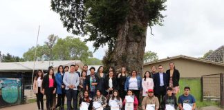 La Araucanía se encuentra entre las regiones que más redujeron la tasa de deserción escolar a nivel nacional