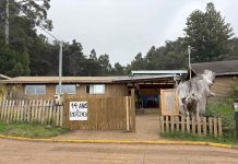 Licitación del Colegio Insular Robinson Crusoe avanza con visita en terreno de los oferentes
