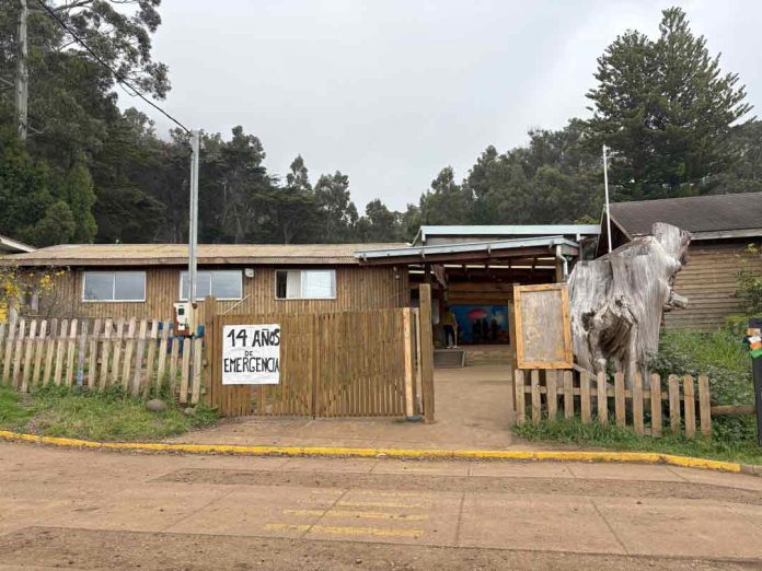Licitación del Colegio Insular Robinson Crusoe avanza con visita en terreno de los oferentes Licitación del Colegio Insular Robinson Crusoe avanza con visita en terreno de los oferentes